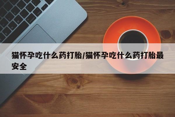 药流药联系方式猫怀孕吃什么药打胎/猫怀孕吃什么药打胎最安全