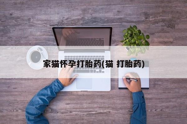 药流药联系方式家猫怀孕打胎药(猫 打胎药)